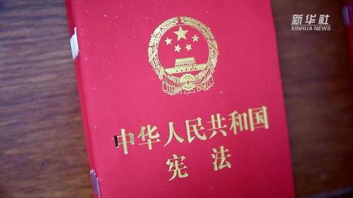 关于宪法的视频