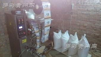 盐料视频,探寻美食背后的奥秘