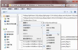 能缓存视频的浏览器,高效观看体验的秘密武器