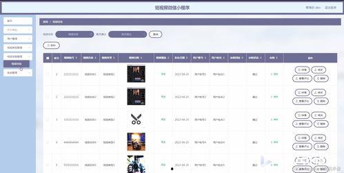 毕业视频脚本,青春记忆的华彩篇章
