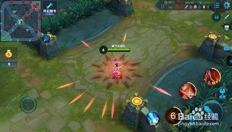 王者荣耀大神荆轲视频,王者荣耀巅峰对决精彩瞬间回顾