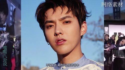 吴亦凡择偶标准视频,揭秘明星心中的理想伴侣