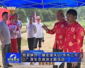 阳西新闻视频,聚焦本土发展,展现活力风采