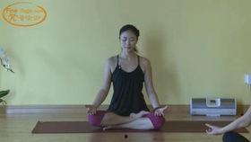 初级瑜伽教学视频1