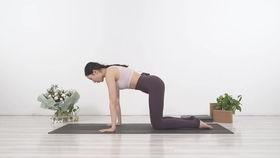 初级瑜伽教学视频1